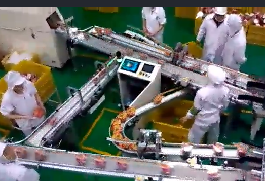 當(dāng)輸送帶出現(xiàn)跑偏后，怎么辦？