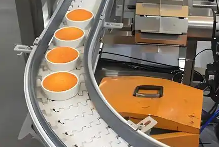 柔性輸送線(xiàn)具有以下優(yōu)點(diǎn)